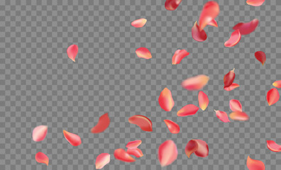 Red rose and cherry blossom falling sakura petals on fake transparent background, isolated special effect. Vector illustration in eps format. Elements for Valentine's Day, Mother's Day, March 8. Love.
