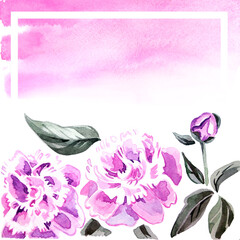 Posy of watercolor peony flowers with pink frame background. 