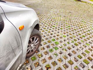 Eco-friendly parking surface promoting environmental care in a city setting
