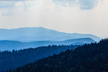 The mountains are covered in trees and the sky is blue