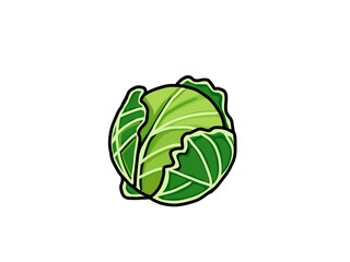 cabbage isolated on white background
