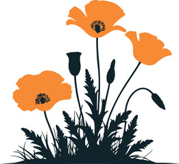 poppy flowers vector
