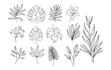  Modern minimalist tropical monstera eucalyptus, palm leaves, branches silhouette on white background. Botanical vector collection