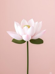 Obraz premium Lotus flower with six delicate petals stands gracefully against a soft pink background, showcasing natural beauty and elegance in a tranquil setting to evoke serenity