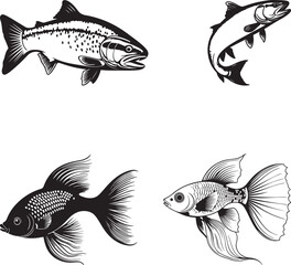 Fototapeta premium set of fish isolated