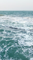 Waves crashing onto a rocky shoreline under a clear sky, symbolizing environmental conservation and the tranquility of coastal holidays