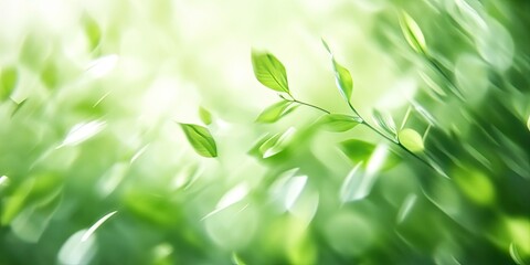 Abstract green foliage background featuring blurred leaves in varying shades of green with soft bokeh effects and gentle light at center.
