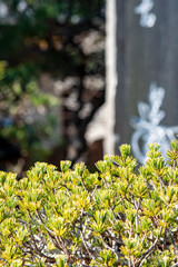 鎌倉2501　光則寺4