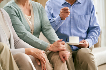group of senior asian people chatting at home