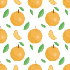 A seamless of orange and leaf isolate on white background.