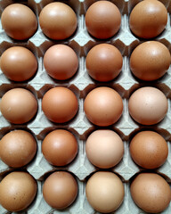 fresh ready to eat eggs in egg cartons. farm product.