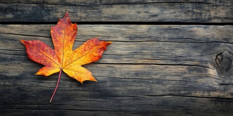 Vibrant orange and yellow autumn leaf on rustic dark wooden backdrop positioned left with ample copy space for text or design elements