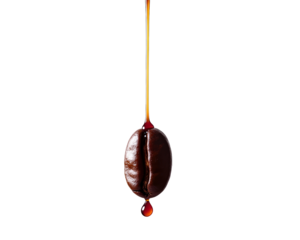 Isolated Coffee Bean with Coffee Drip