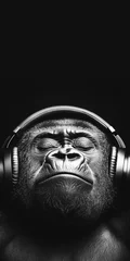 Gorilla Listening to Music with Headphones on Black Background © JFM