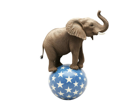 Fototapeta Isolated Elephant Balancing on a Star Ball