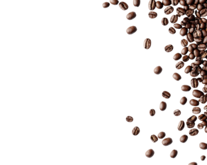 Isolated Pattern of Scattered Coffee Beans