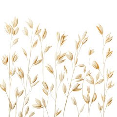 Elegant Dried Floral Arrangement Against a Black Background: Botanical Beauty in Beige and Cream Tones