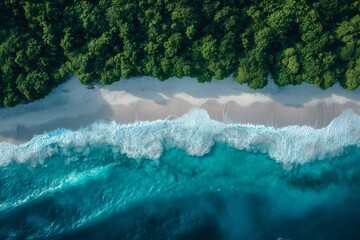 Tropical forest meeting white sand beach and turquoise water in paradisiac island