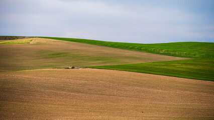 Obraz premium Matera province: spring countryside landscape 
