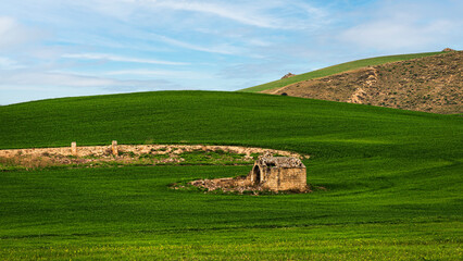 Matera province: spring countryside landscape 