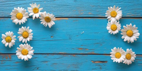 Obraz premium Daisies with white petals and yellow centers arranged asymmetrically on a vibrant blue wooden surface from an overhead perspective