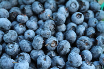 Blueberries