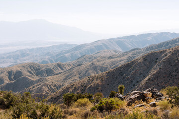 Naklejka premium Layers of misty mountains across the horizon during sunset, Joshua park, California.