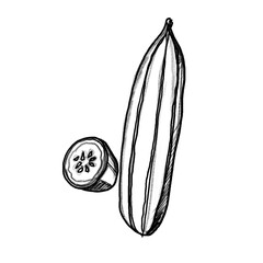 Vegetables, Hand-drawn pencil/colored pencil drawing, Sketch, Transparent PNG, Healthy, Menu, Recipe