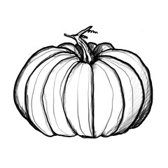 Pumpkin, Squash, Vegetables, Hand-drawn pencil/colored pencil drawing, Sketch, Transparent PNG, Healthy, Menu, Recipe