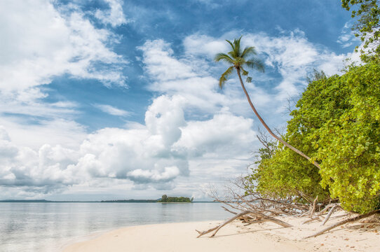 Paradise beach on Lissenung island in Papua New Guinea