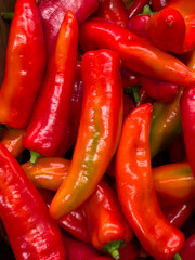 Red paprika, or Capsicum is characterized by a non-pungent, sweet taste, purple to red color, oblong shape and thick fruit walls.
