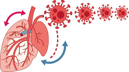 illustration of human organs heart virus blood flow health