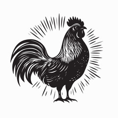 Roster Vector Images. Rooster silhouette vector on white background.