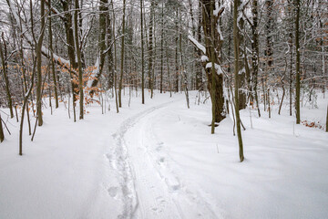 Riley Trails (Winter 2025)