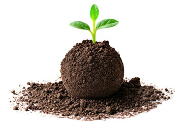 growing from seeds , seed ball. earth ball. nendo dango. isolated on white