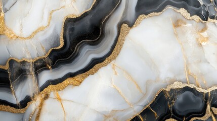 Obraz premium Elegant Black and White Marble with Gold Veins Background Texture