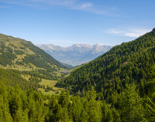 Obraz premium Panoramablick auf das grüne Tal von Siviez in den Walliser Alpen