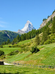 Matterhorn im Sommer – Blick über saftige Wiesen und Wälder bei Zermatt