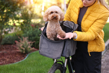 Woman with bicycle and cute Toy Poodle dog in pet carrier outdoors, closeup
