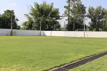 lush green soccer field with goalposts and trees in background
