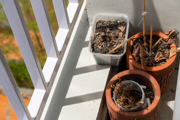 A potted plant has dried up and died on the apartment balcony