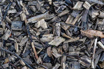 Texture of wet brown wooden pieces