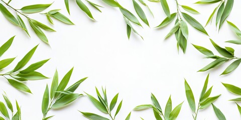 Fototapeta premium Bamboo leaves in various shades of green arranged elegantly along the edges of a clean white background creating a natural frame.