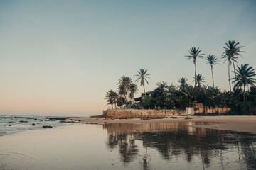 Obraz premium Praia da Taíba, no Ceará. Mar, coqueiros, espelhos d'água, fim de tarde no litoral cearense.