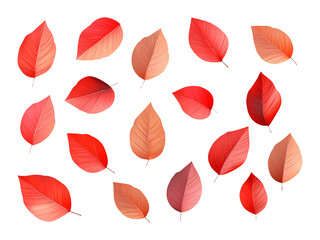 Colorful Leaves Decoration Render Isolated on White Background