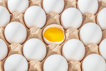 Row of white eggs and single broken egg with a yolk. White Eggs and Yellow Egg Yolk. Individuality...