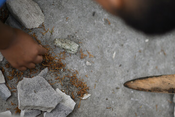 Close up of a childs hands making house for bugs with stones. Teaching children empathy and responsibility at a Nature Preschool in Detroit, MI