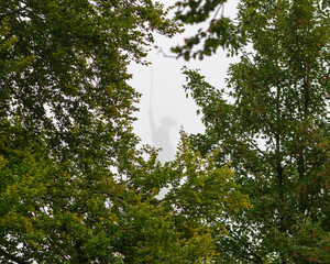 Hermannsdenkmal im Nebel durch B&auml;ume gesehen &ndash; Teutoburger Wald