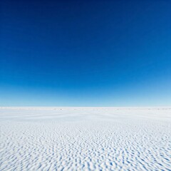 Obraz premium winter landscape with snow