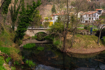 Naklejka premium nature sceneries along the shore of lake sirino, Nemoli, Potenza